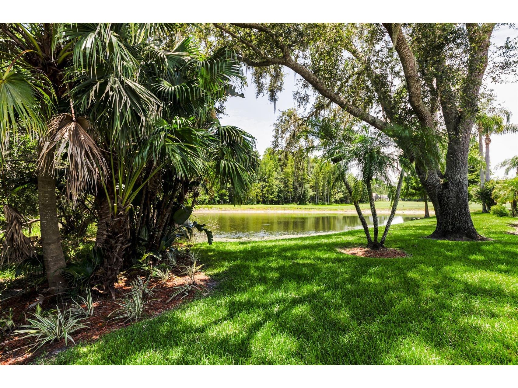 1111 Dartford Drive Tarpon Springs FL 34688 TB8530217 image55