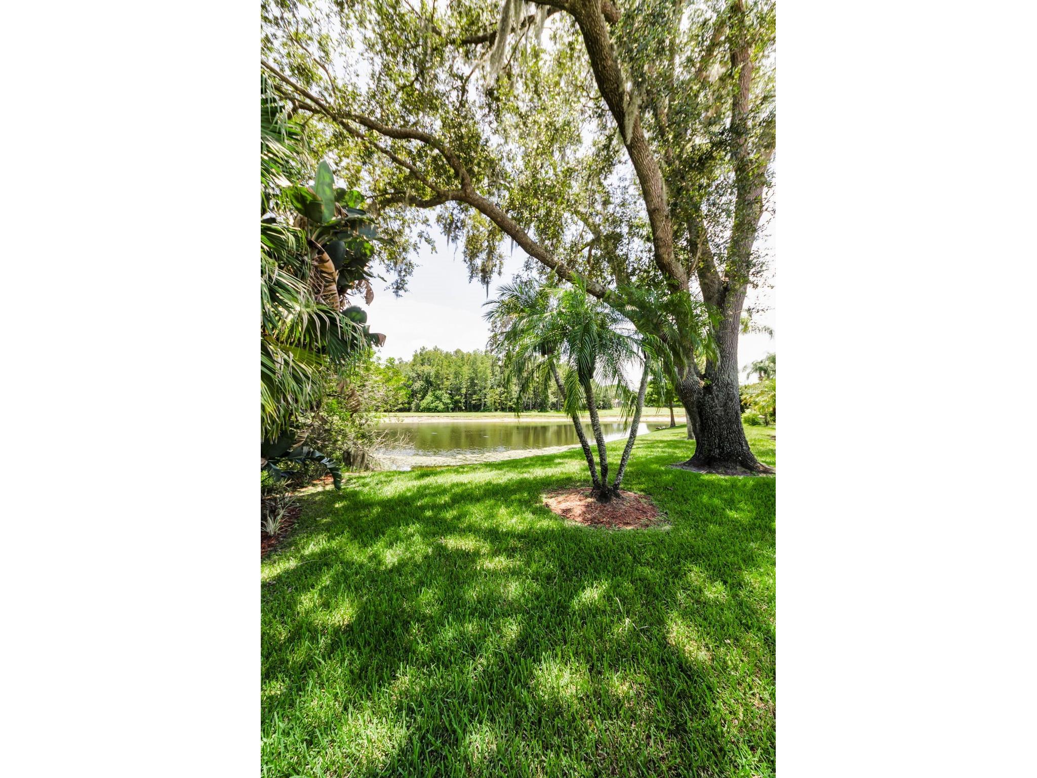 1111 Dartford Drive Tarpon Springs FL 34688 TB8530217 image56