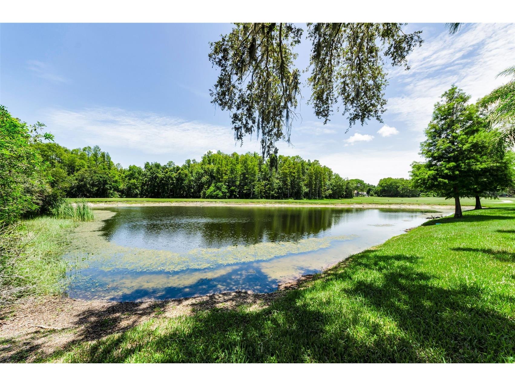 1111 Dartford Drive Tarpon Springs FL 34688 TB8530217 image57