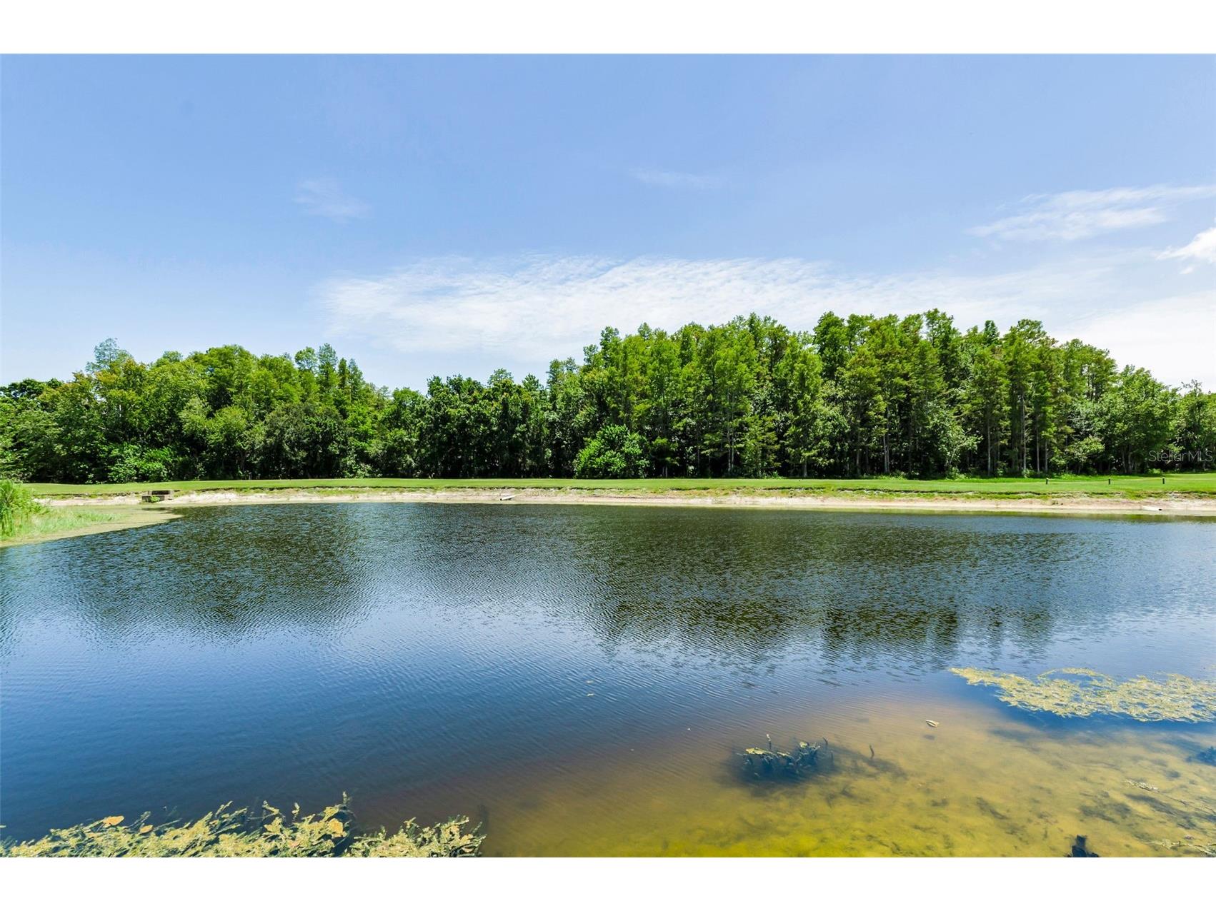 1111 Dartford Drive Tarpon Springs FL 34688 TB8530217 image60