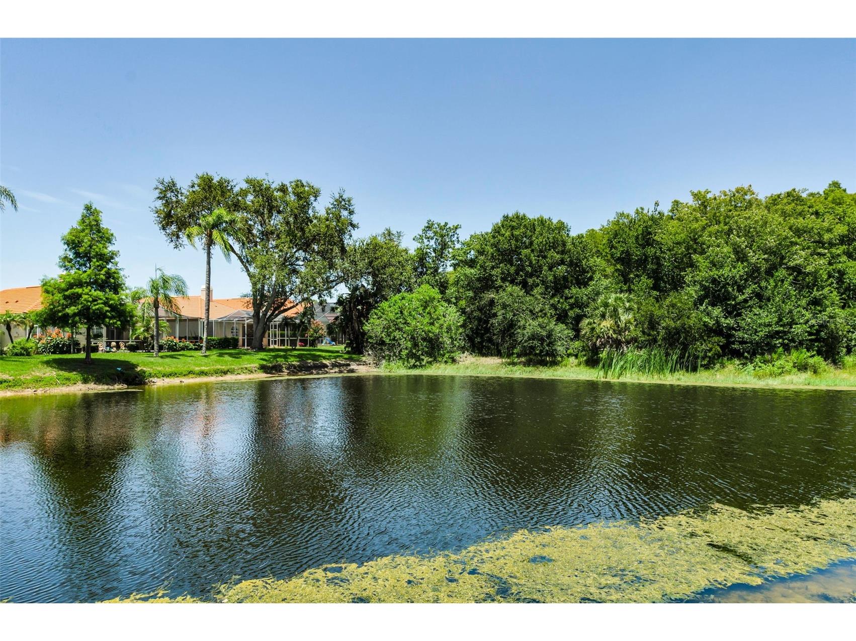 1111 Dartford Drive Tarpon Springs FL 34688 TB8530217 image61