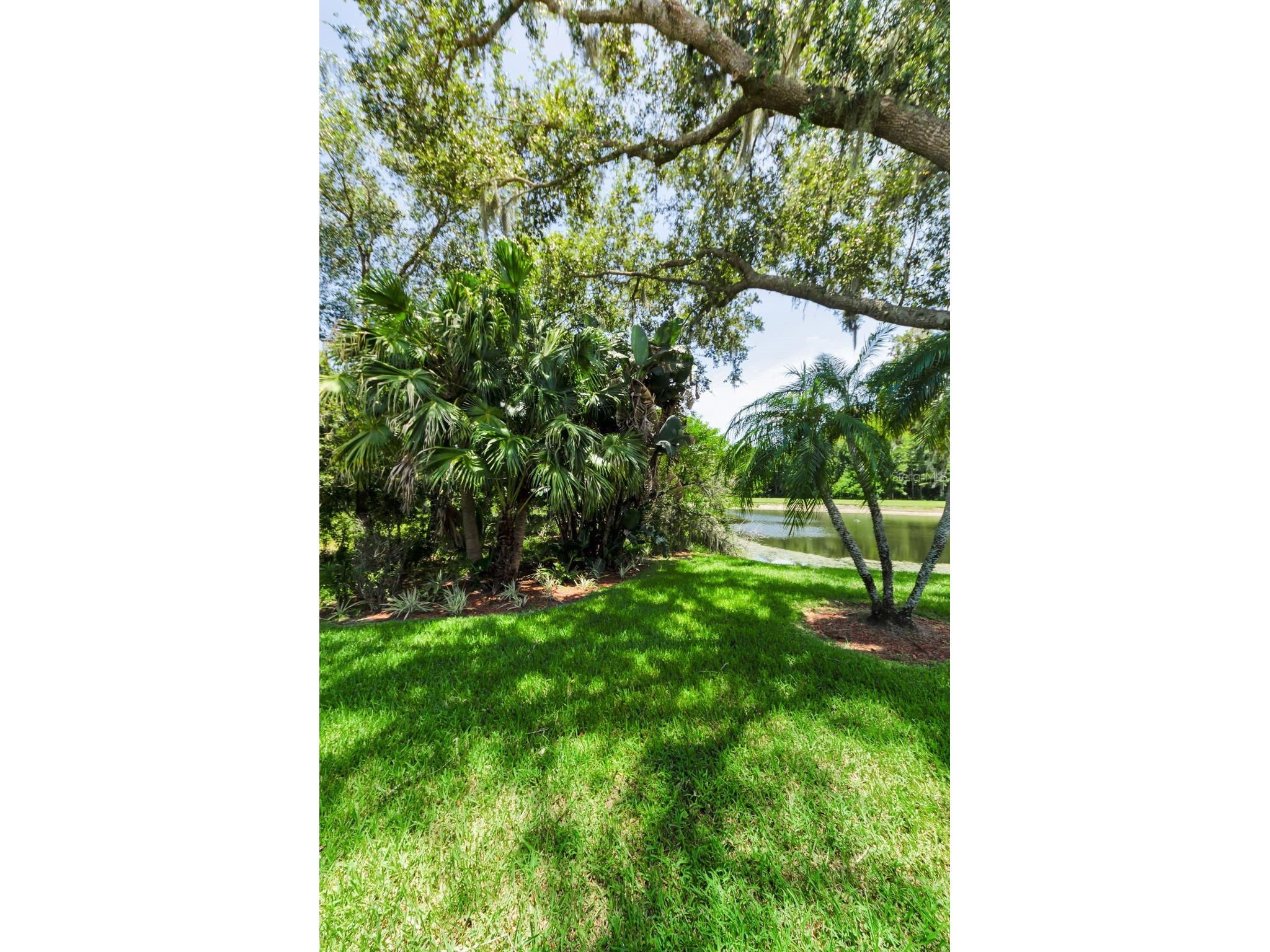 1111 Dartford Drive Tarpon Springs FL 34688 TB8530217 image62