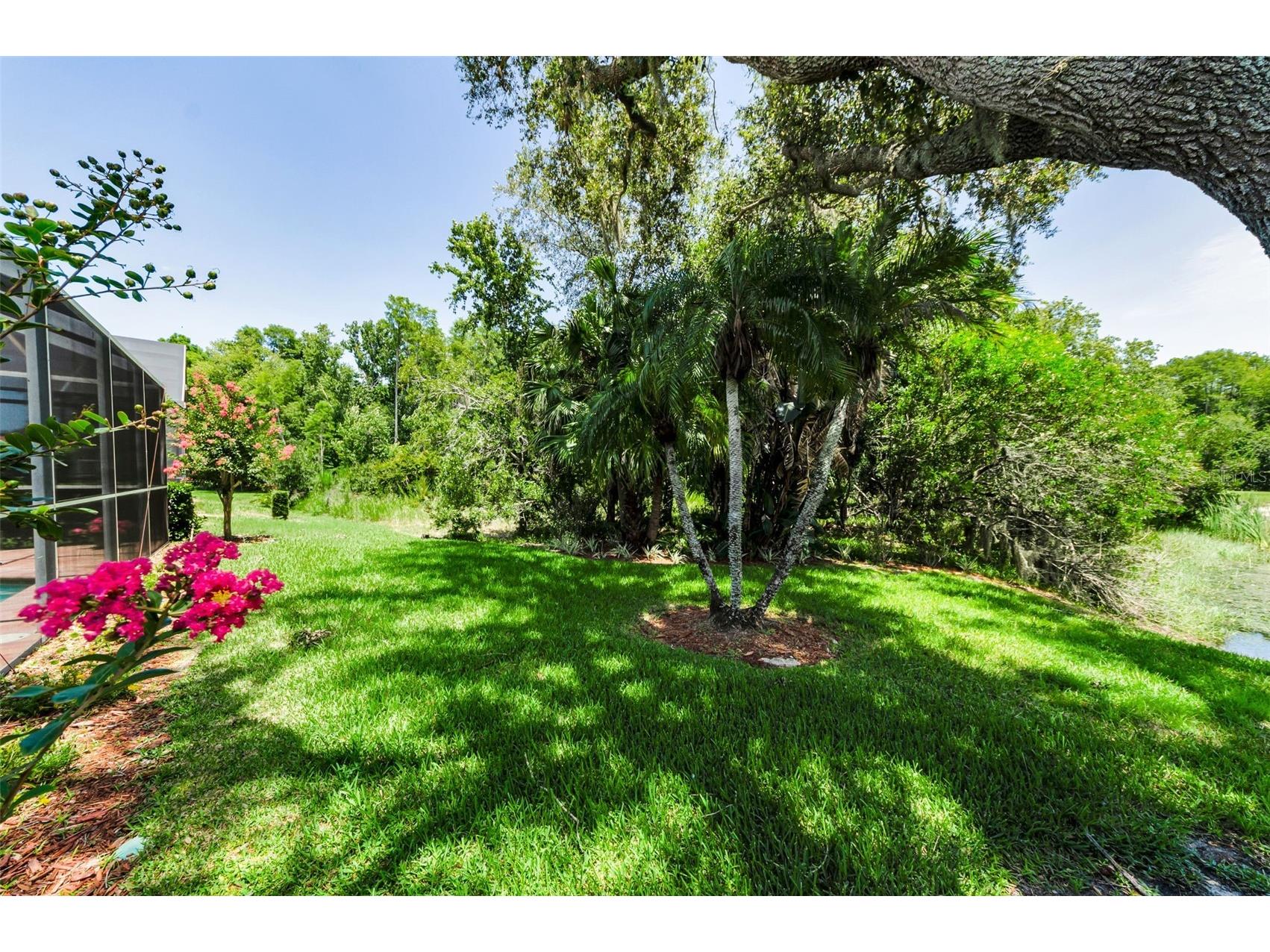 1111 Dartford Drive Tarpon Springs FL 34688 TB8530217 image63