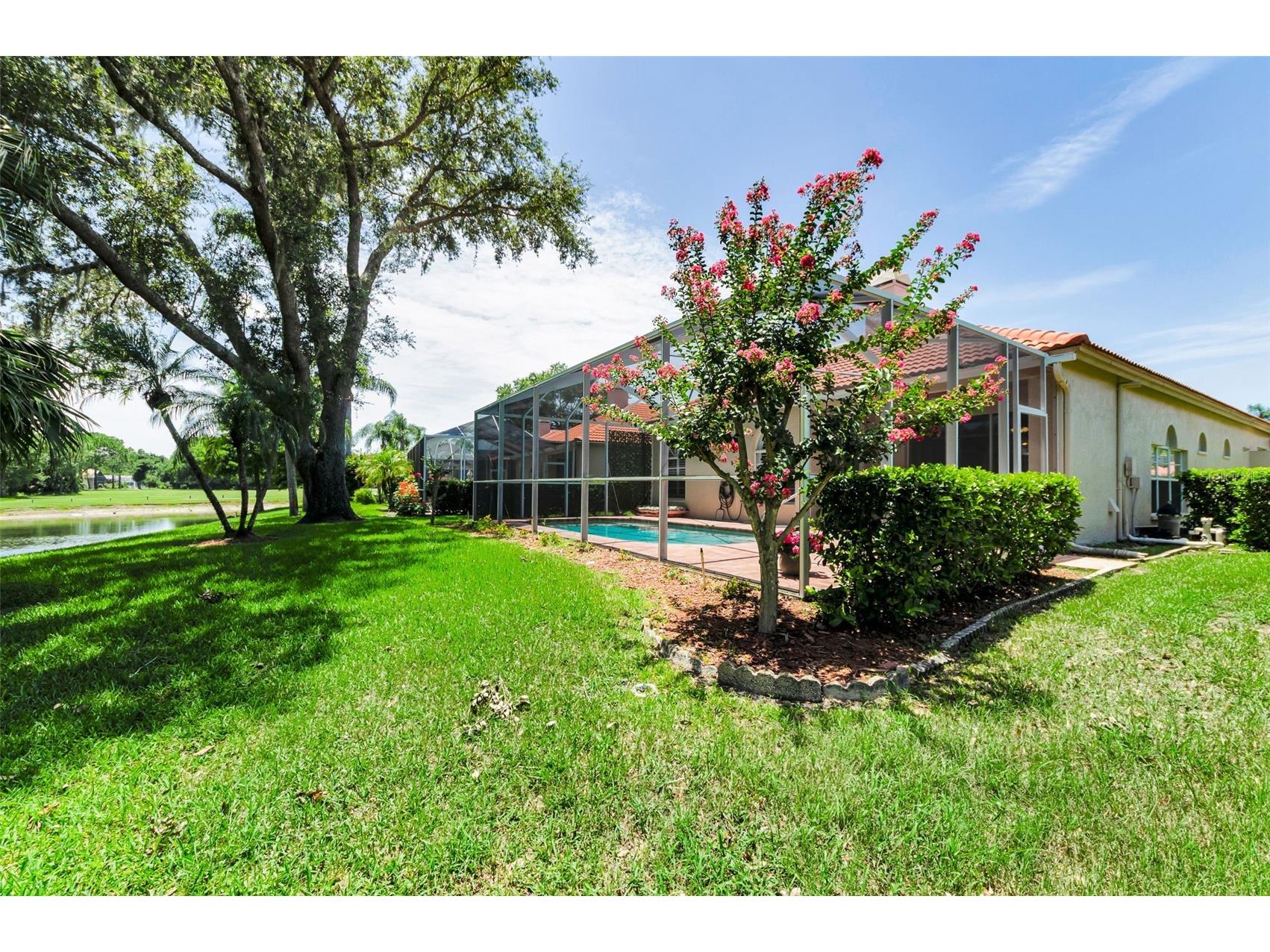 1111 Dartford Drive Tarpon Springs FL 34688 TB8530217 image64