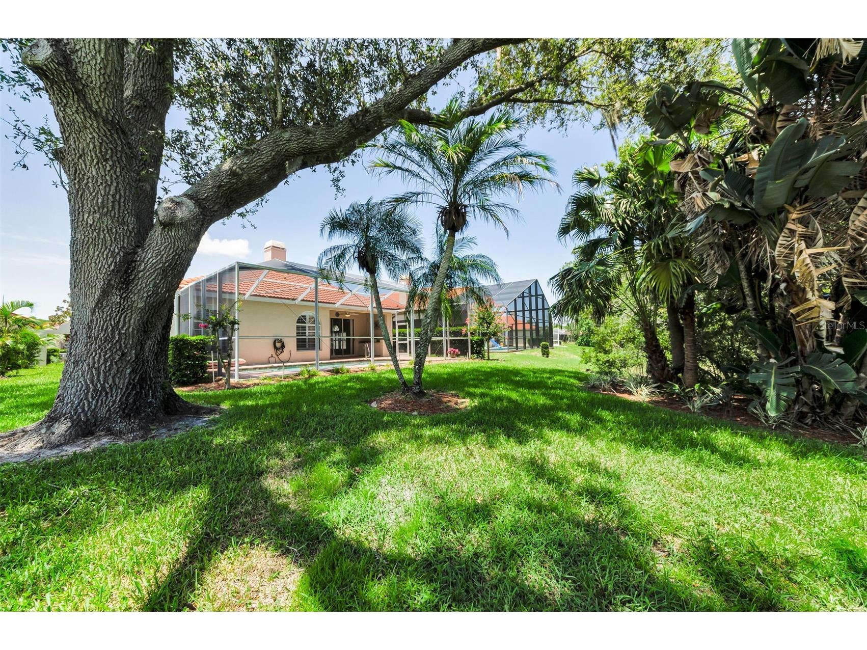 1111 Dartford Drive Tarpon Springs FL 34688 TB8530217 image66