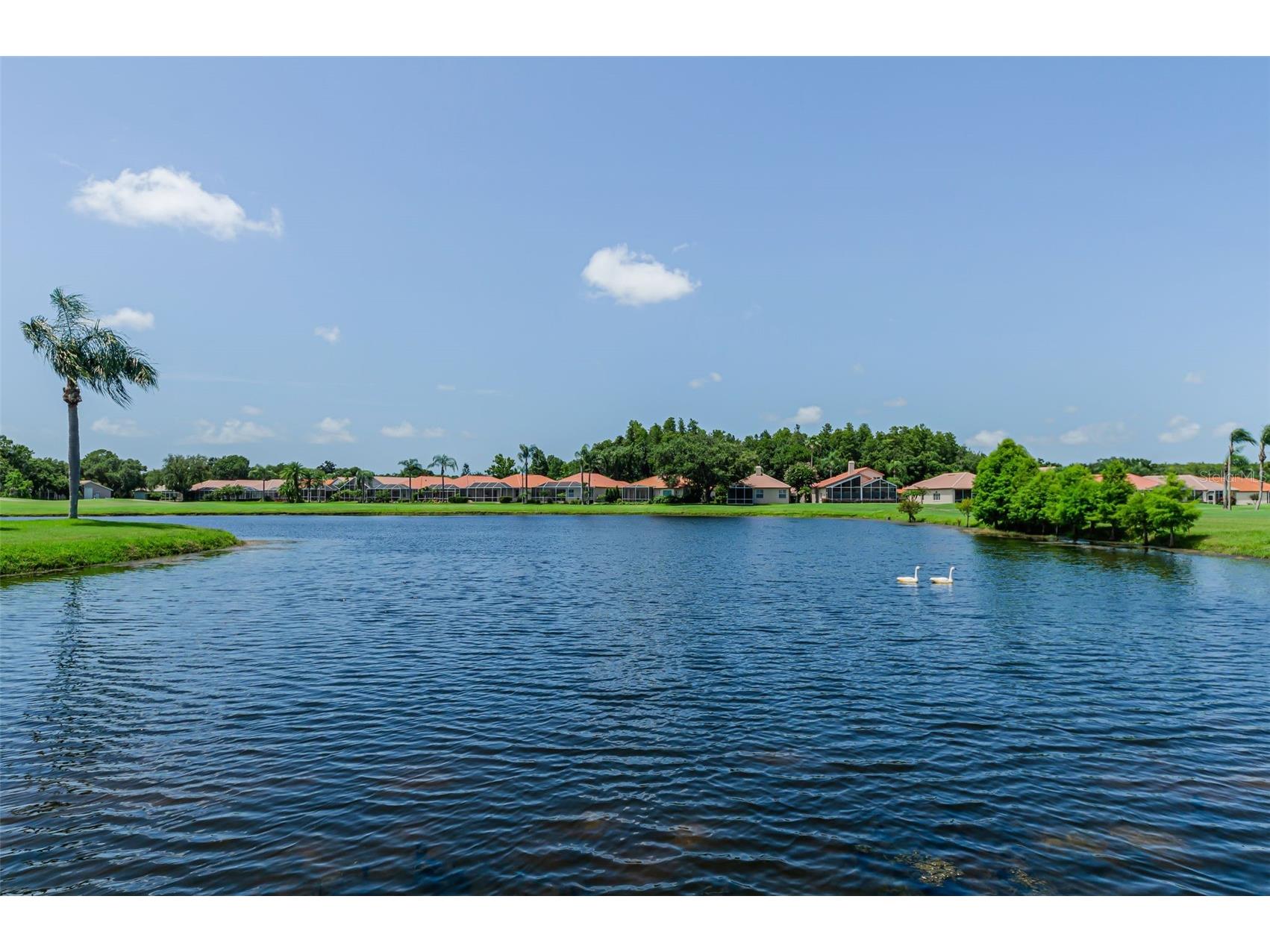 1111 Dartford Drive Tarpon Springs FL 34688 TB8530217 image74