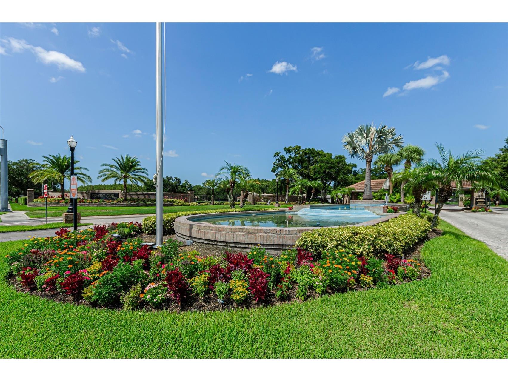 1111 Dartford Drive Tarpon Springs FL 34688 TB8530217 image77