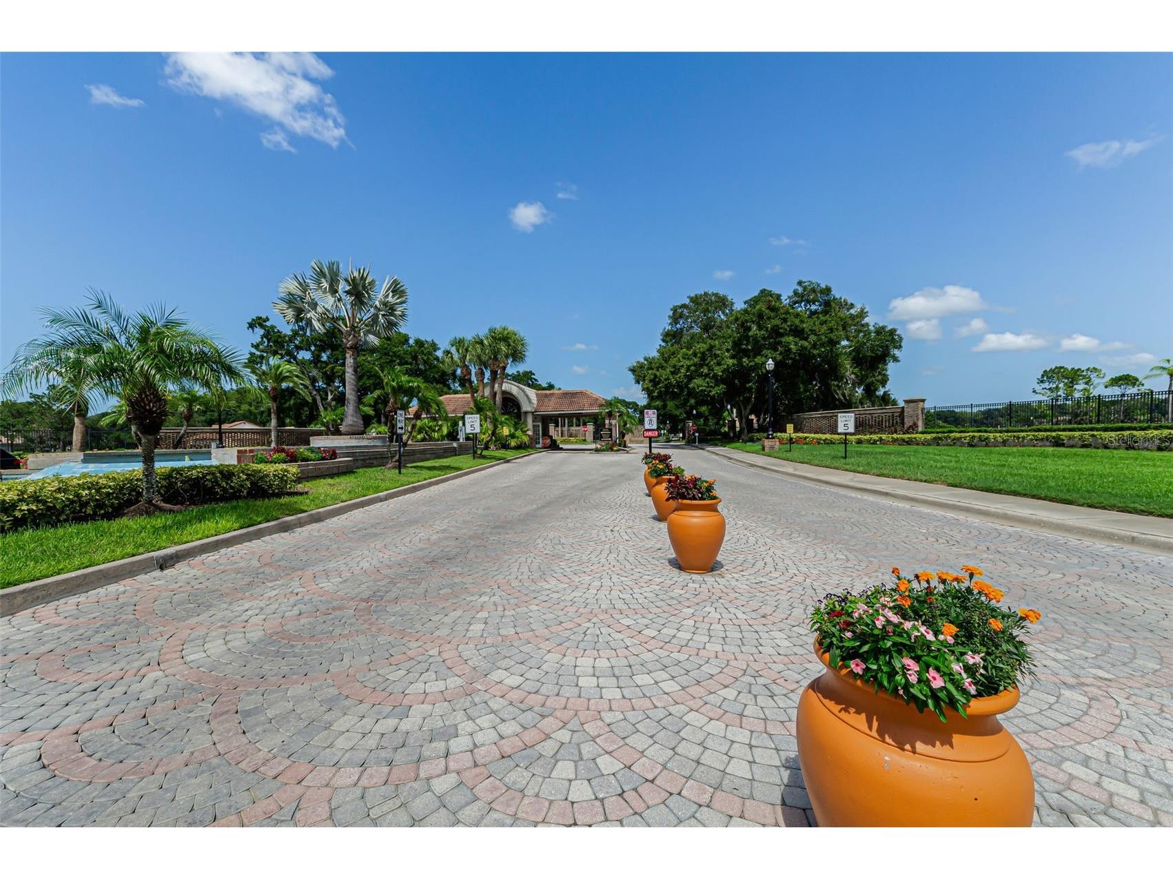 1111 Dartford Drive Tarpon Springs FL 34688 TB8530217 image78