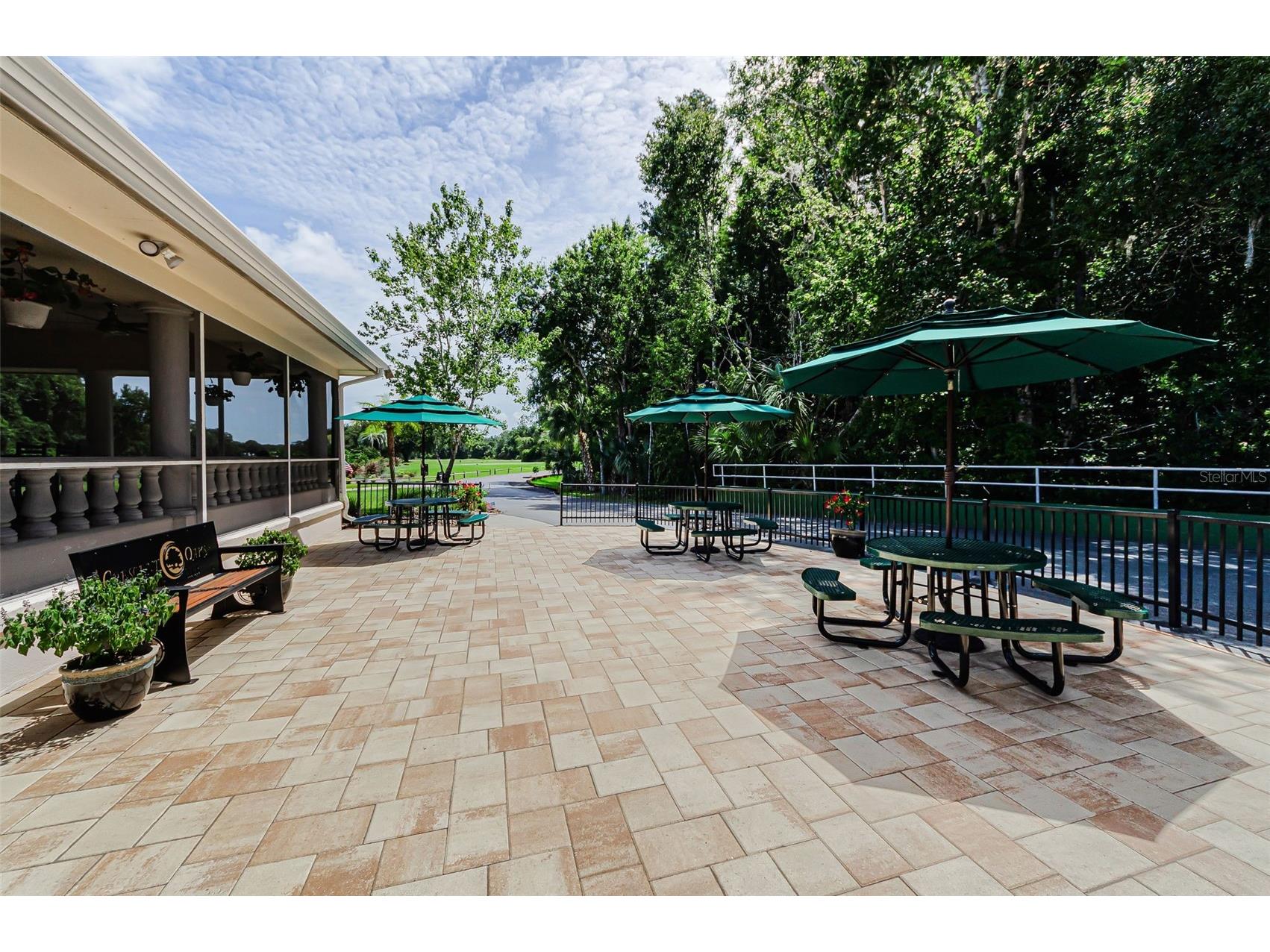 1111 Dartford Drive Tarpon Springs FL 34688 TB8530217 image96