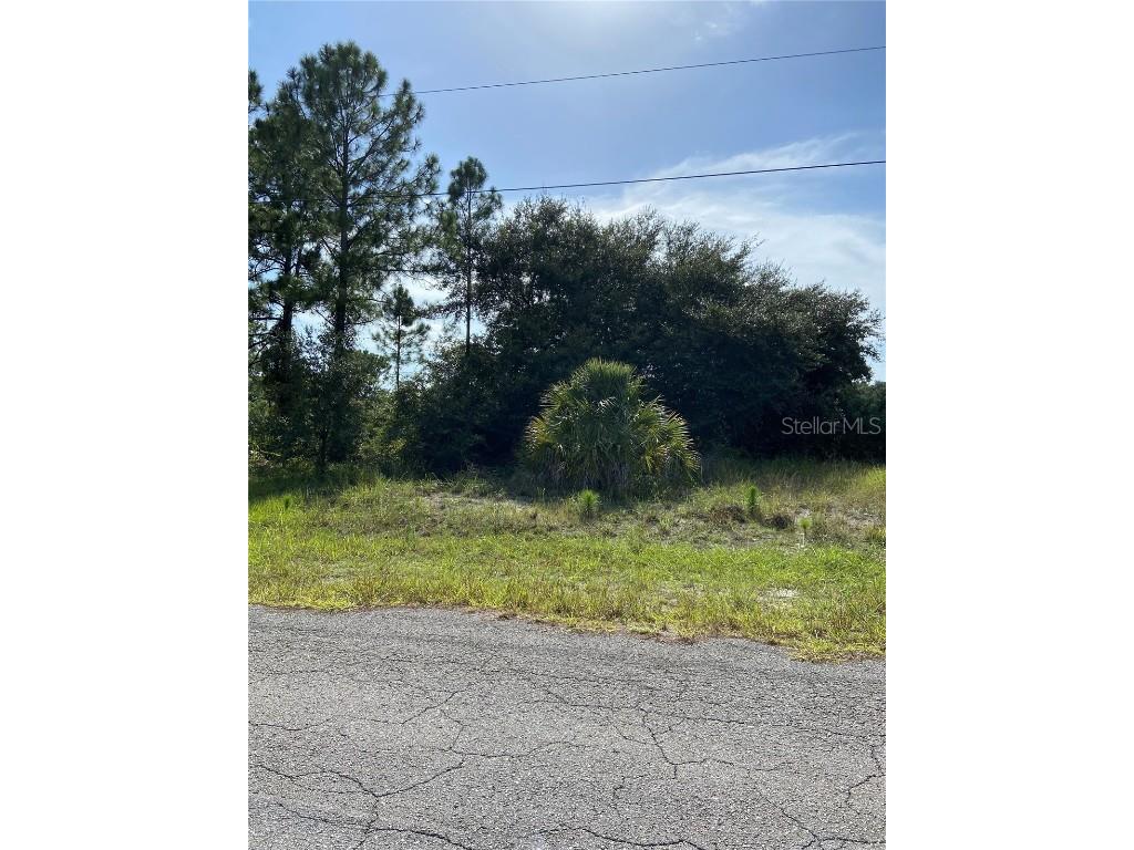 1111 Eighth Avenue Lehigh Acres FL 33972 O6057289 image1