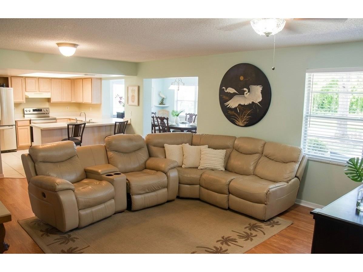 1111 Harefield Circle #62 Sun City Center FL 33573 TB8493096 image2