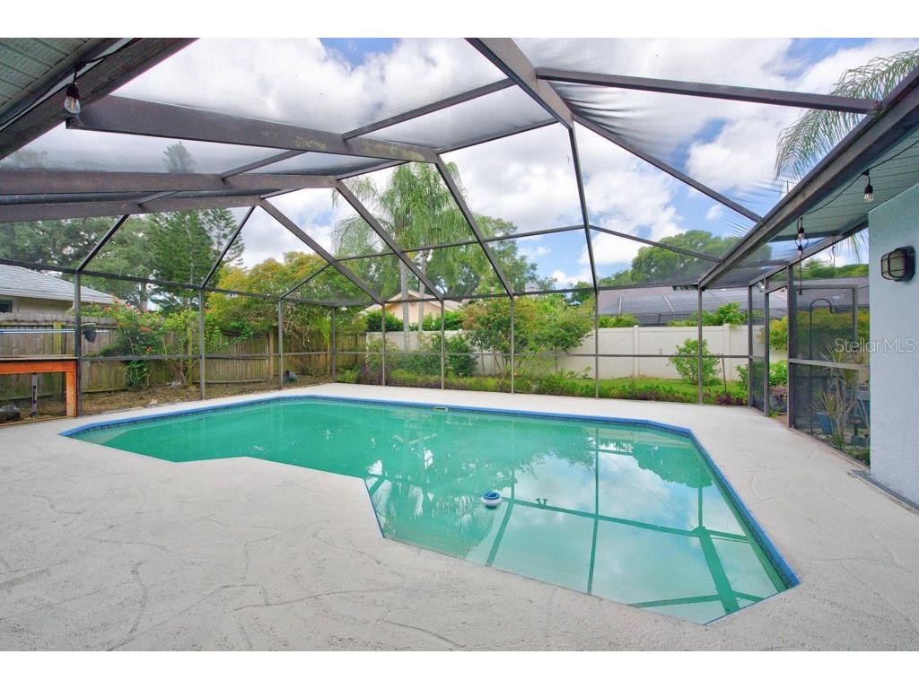 1111 Knollwood Drive Safety Harbor FL 34695 TB8523915 image33