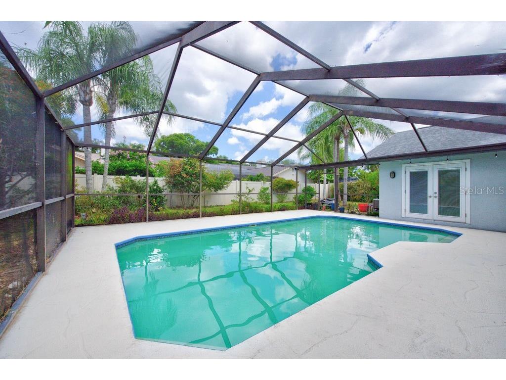 1111 Knollwood Drive Safety Harbor FL 34695 TB8523915 image36