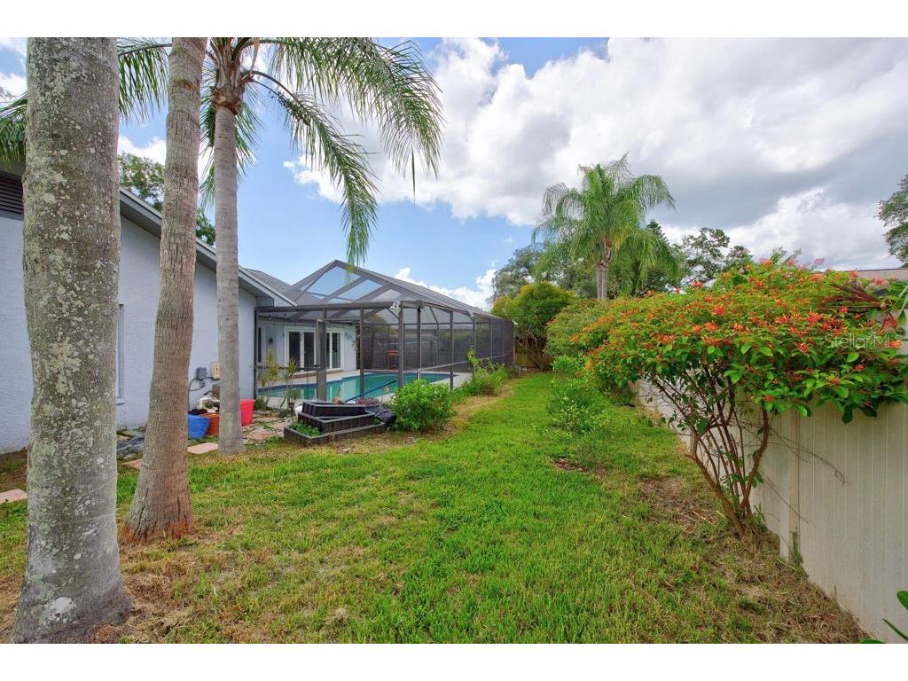 1111 Knollwood Drive Safety Harbor FL 34695 TB8523915 image38