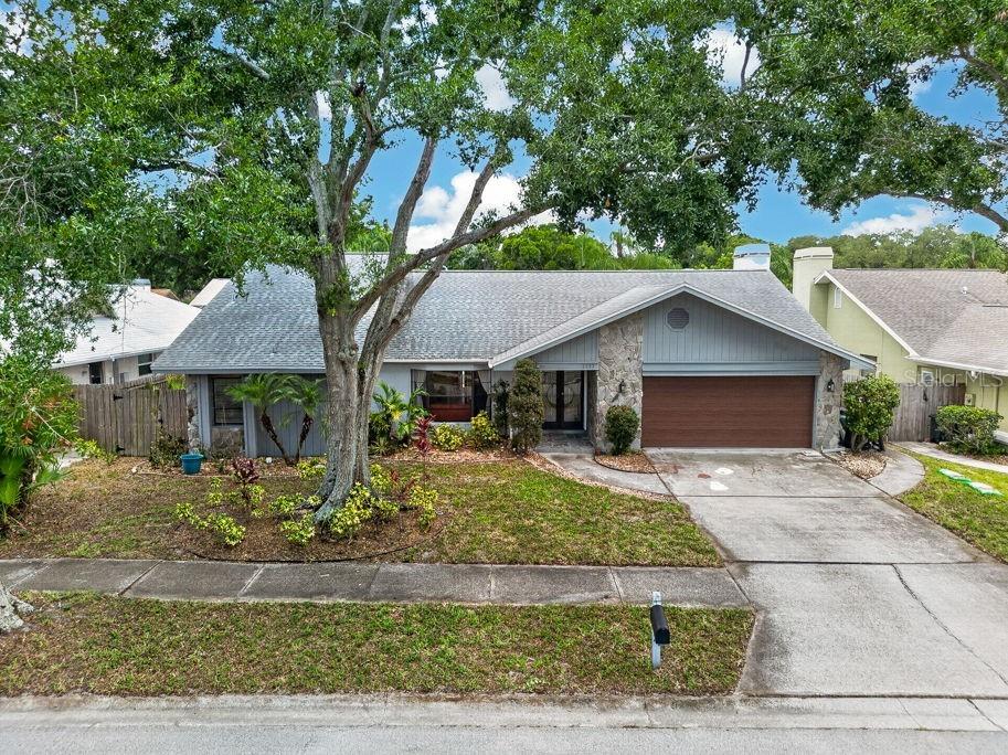 1111 Knollwood Drive Safety Harbor FL 34695 TB8523915 image43