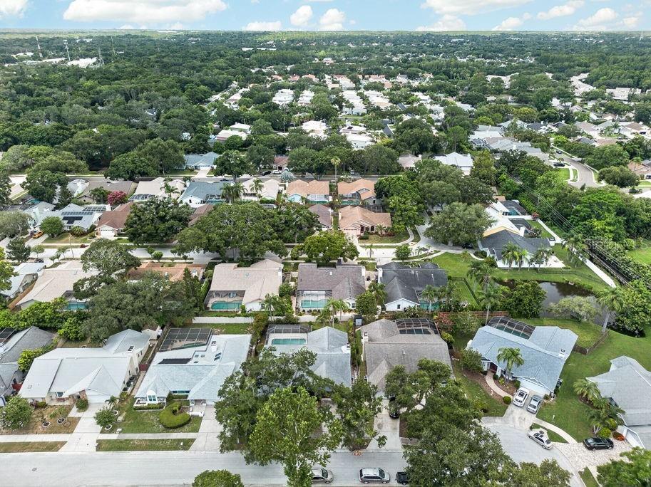 1111 Knollwood Drive Safety Harbor FL 34695 TB8523915 image44