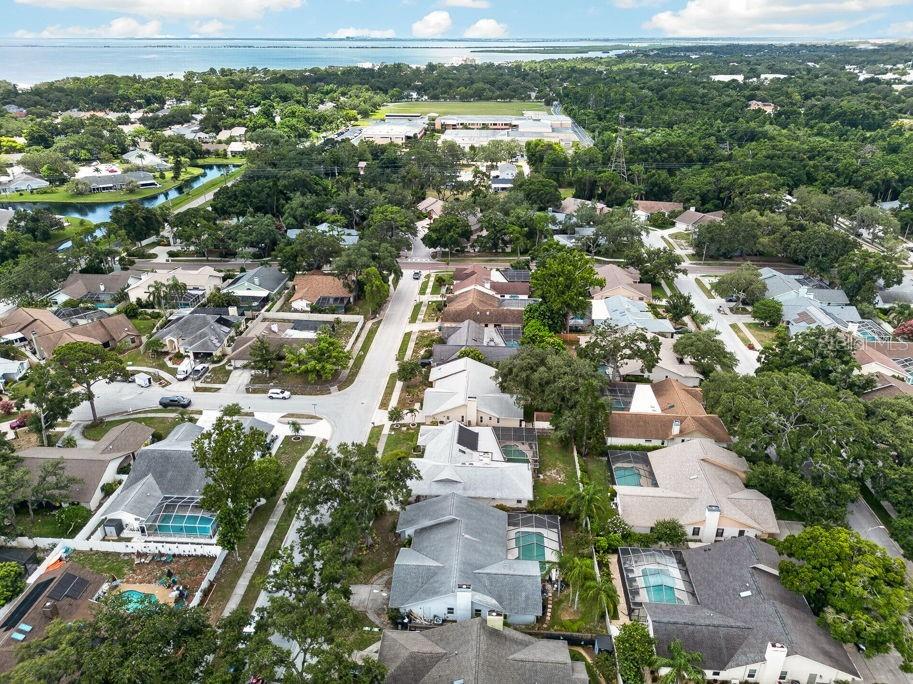 1111 Knollwood Drive Safety Harbor FL 34695 TB8523915 image45