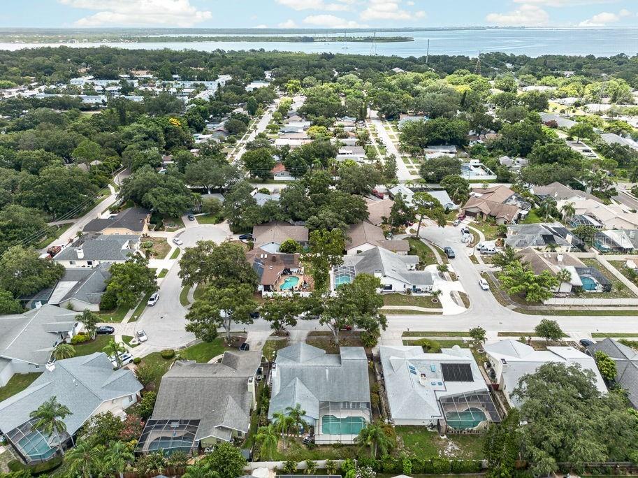 1111 Knollwood Drive Safety Harbor FL 34695 TB8523915 image46
