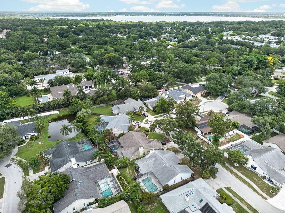 1111 Knollwood Drive Safety Harbor FL 34695 TB8523915 image47