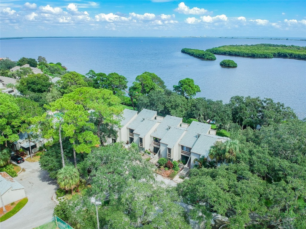 1111 N Bayshore Boulevard #B6 Clearwater FL 33759 U8246394 image1