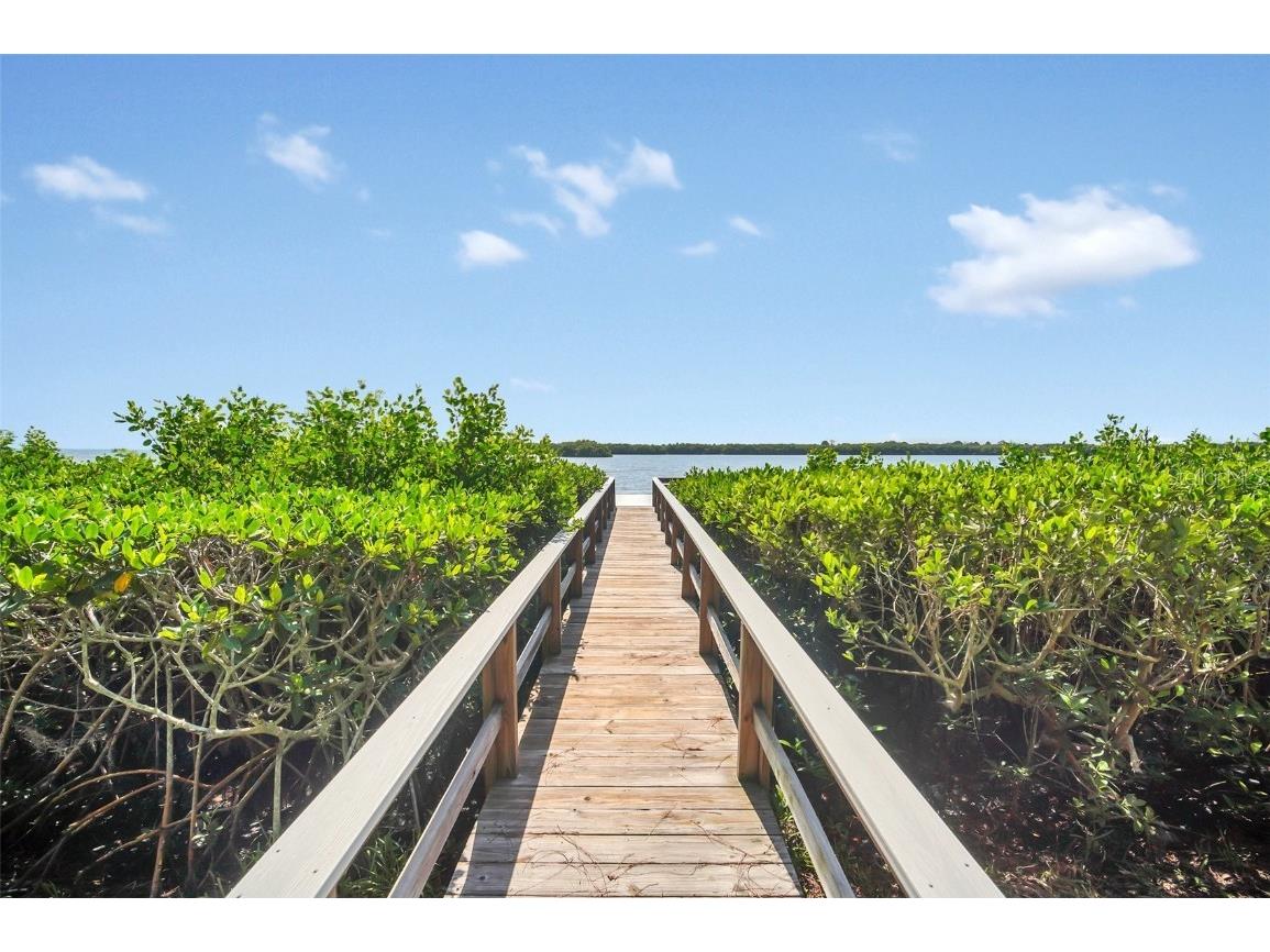 1111 N Bayshore Boulevard #D6 Clearwater FL 33759 O6295833 image29