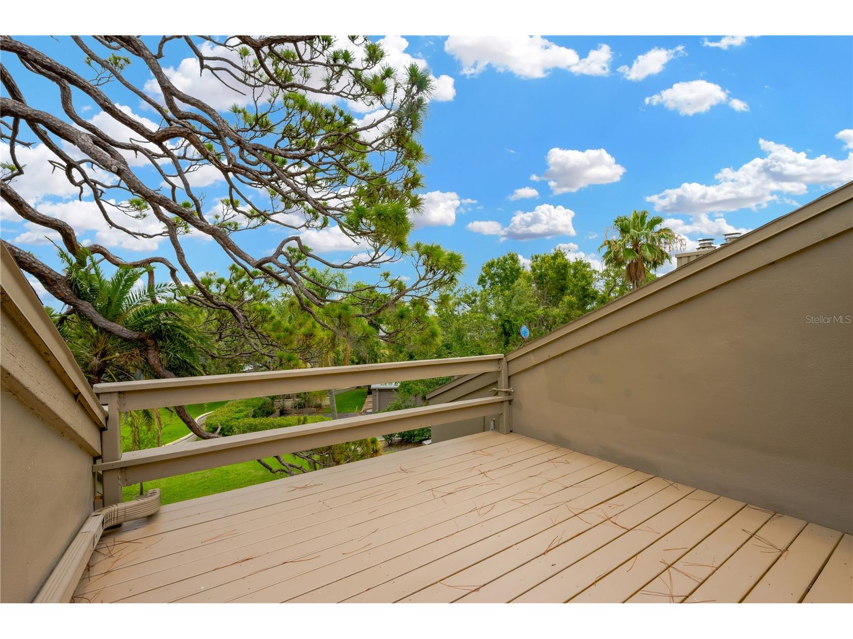 1111 N Bayshore Boulevard #E10 Clearwater FL 33759 TB8394301 image43