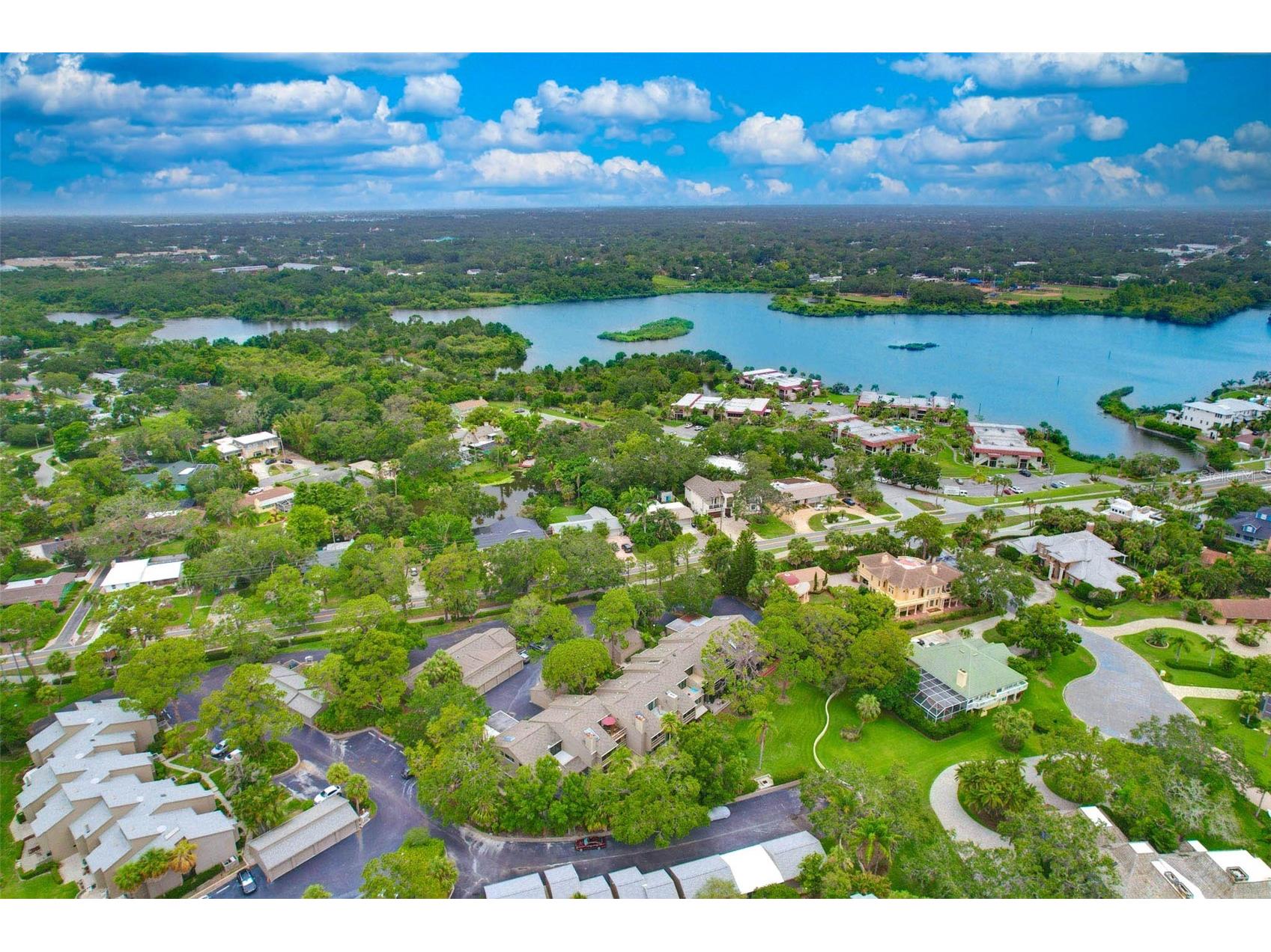 1111 N Bayshore Boulevard #E10 Clearwater FL 33759 TB8394301 image56