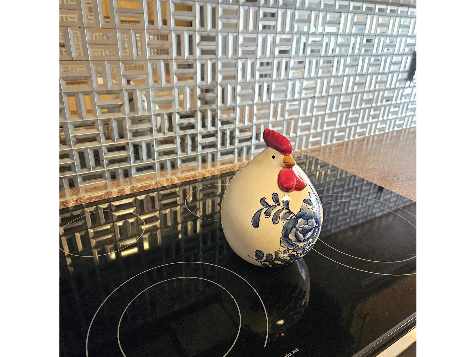 1111 N Bayshore Boulevard #E10 Clearwater FL 33759 TB8394301 image8