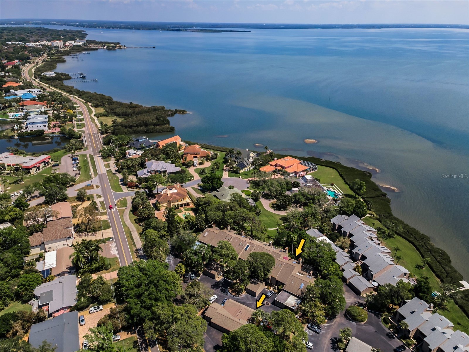 1111 N Bayshore Boulevard #E3 Clearwater FL 33759 - UPPER TAMPA BAY TB8487032 image2