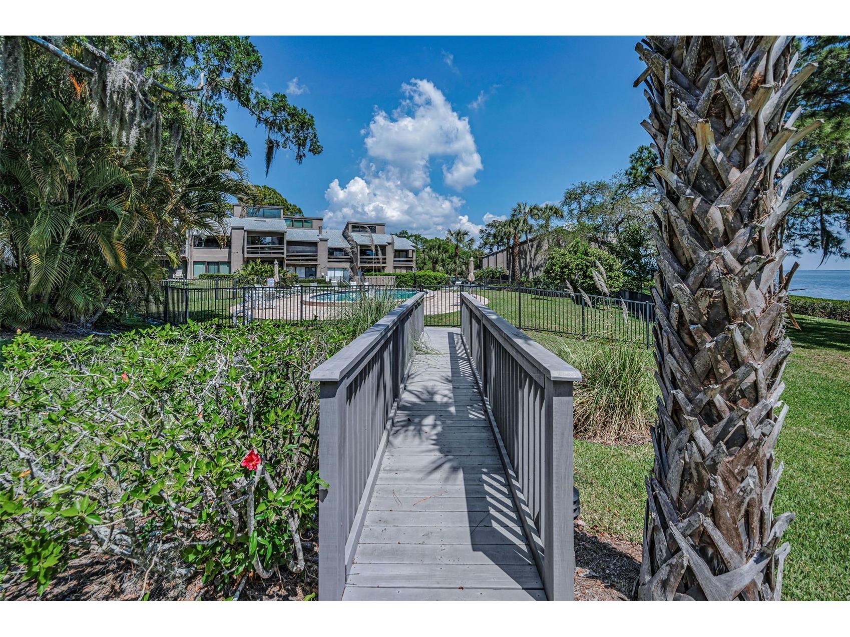 1111 N Bayshore Boulevard #E3 Clearwater FL 33759 - UPPER TAMPA BAY TB8487032 image39