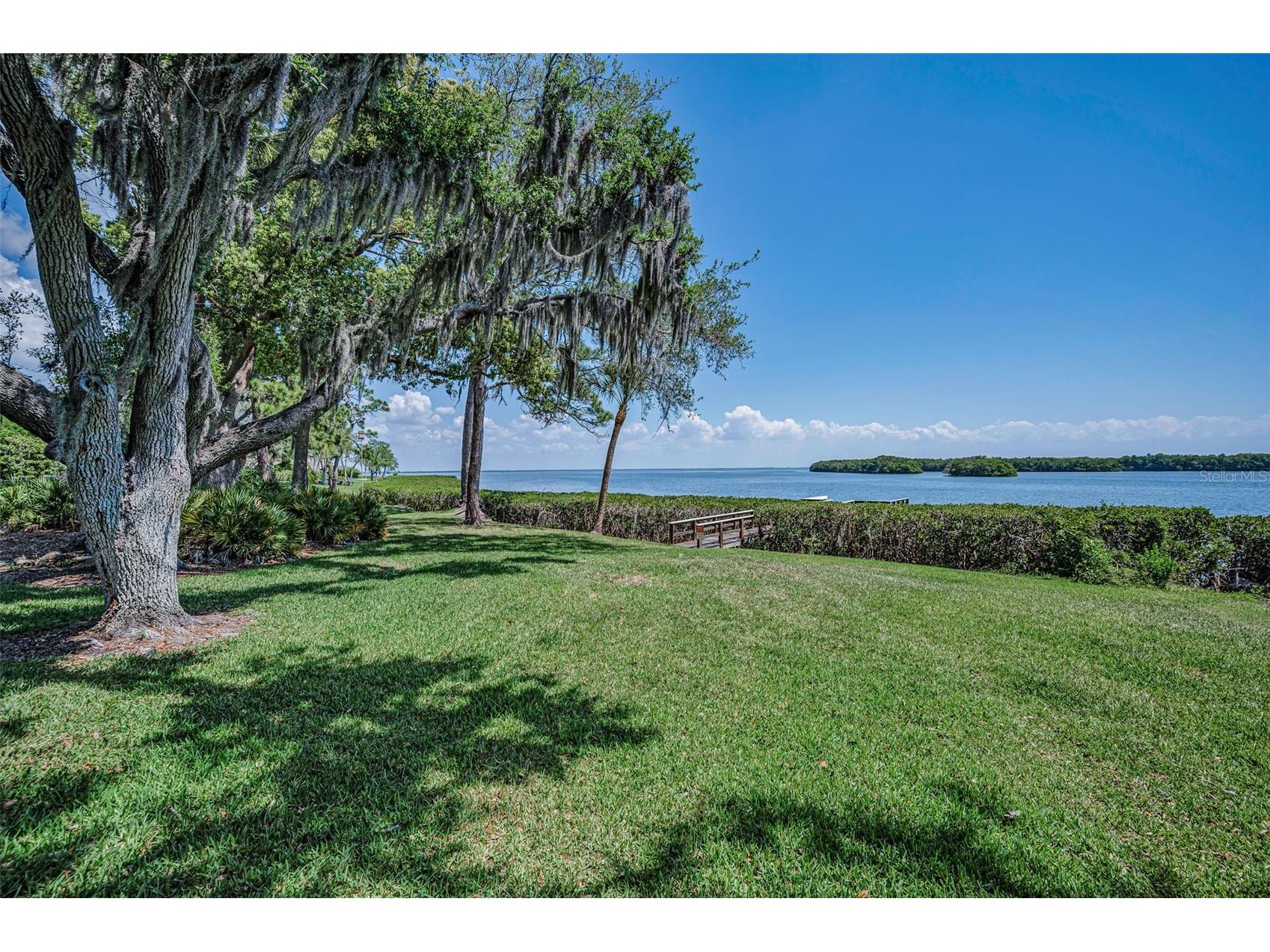 1111 N Bayshore Boulevard #E3 Clearwater FL 33759 - UPPER TAMPA BAY TB8487032 image43