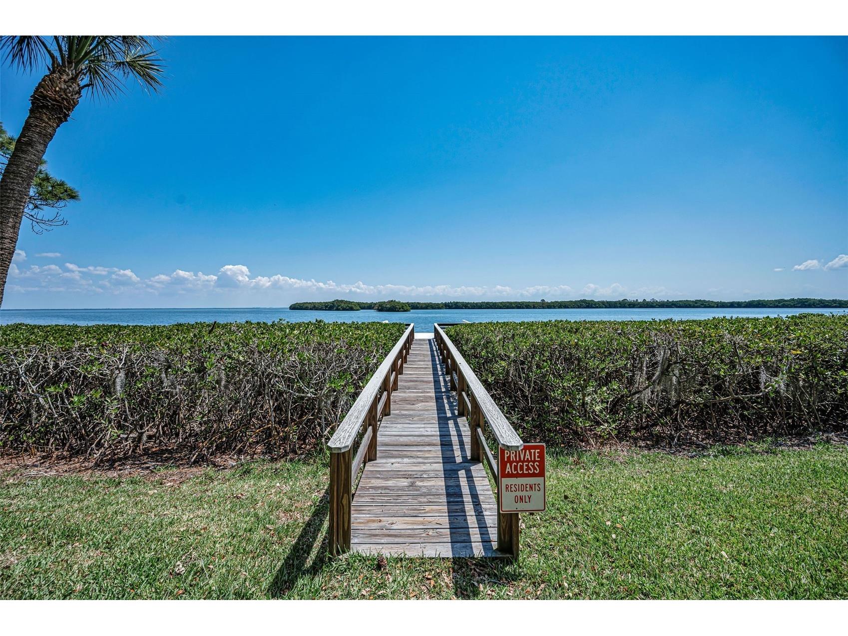 1111 N Bayshore Boulevard #E3 Clearwater FL 33759 - UPPER TAMPA BAY TB8487032 image44