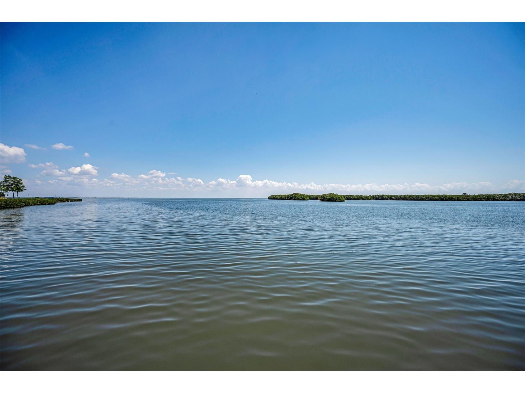 1111 N Bayshore Boulevard #E3 Clearwater FL 33759 - UPPER TAMPA BAY TB8487032 image47