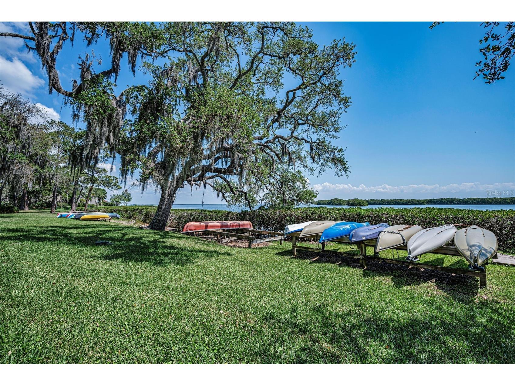 1111 N Bayshore Boulevard #E3 Clearwater FL 33759 - UPPER TAMPA BAY TB8487032 image51