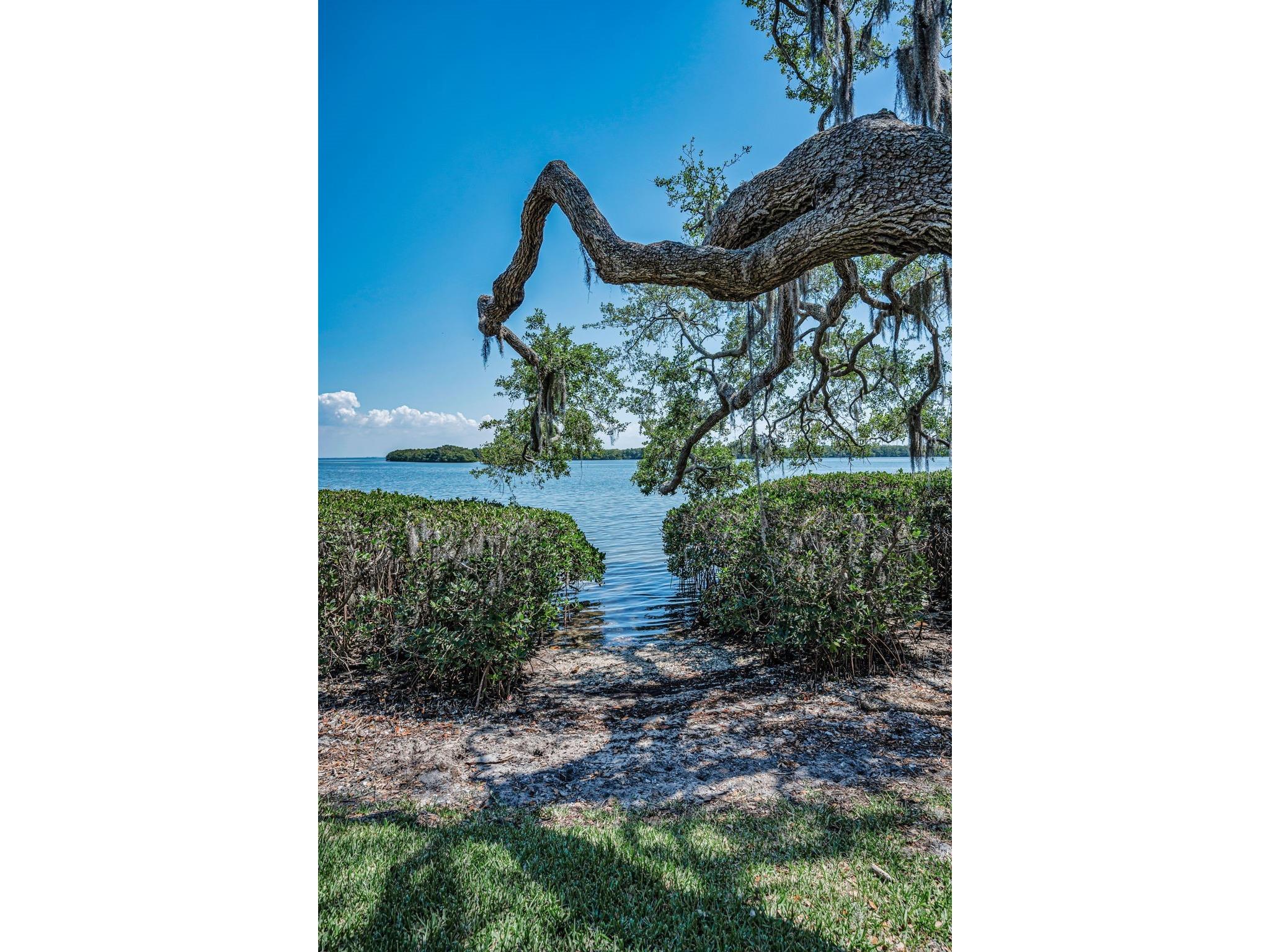 1111 N Bayshore Boulevard #E3 Clearwater FL 33759 - UPPER TAMPA BAY TB8487032 image52
