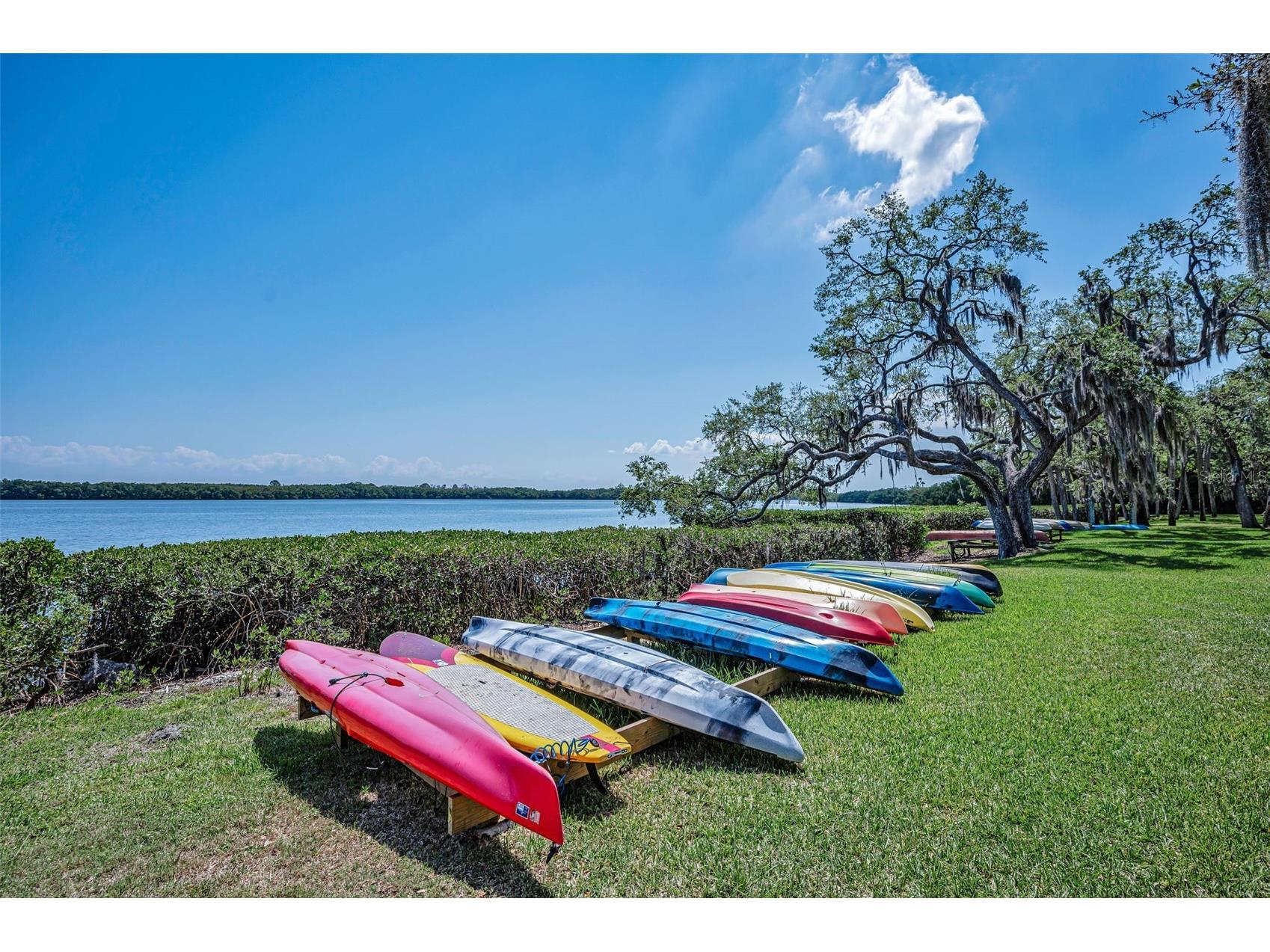 1111 N Bayshore Boulevard #E3 Clearwater FL 33759 - UPPER TAMPA BAY TB8487032 image53