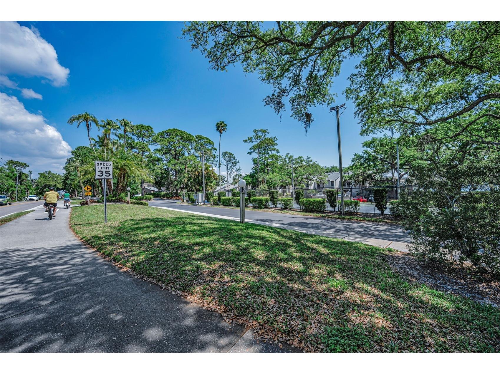 1111 N Bayshore Boulevard #E3 Clearwater FL 33759 - UPPER TAMPA BAY TB8487032 image57