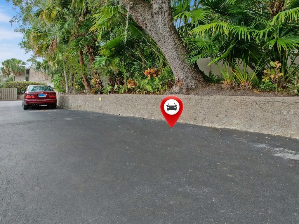 1111 N Bayshore Boulevard #F6 Clearwater FL 33759 TB8426333 image38