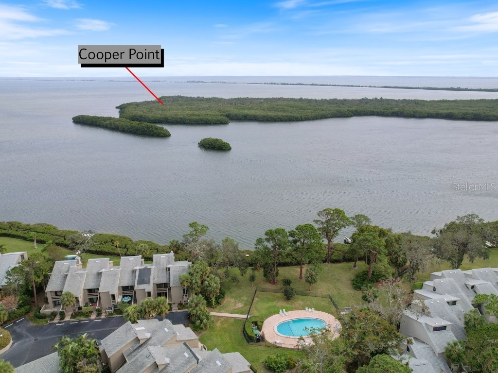 1111 N Bayshore Boulevard #F6 Clearwater FL 33759 TB8426333 image41