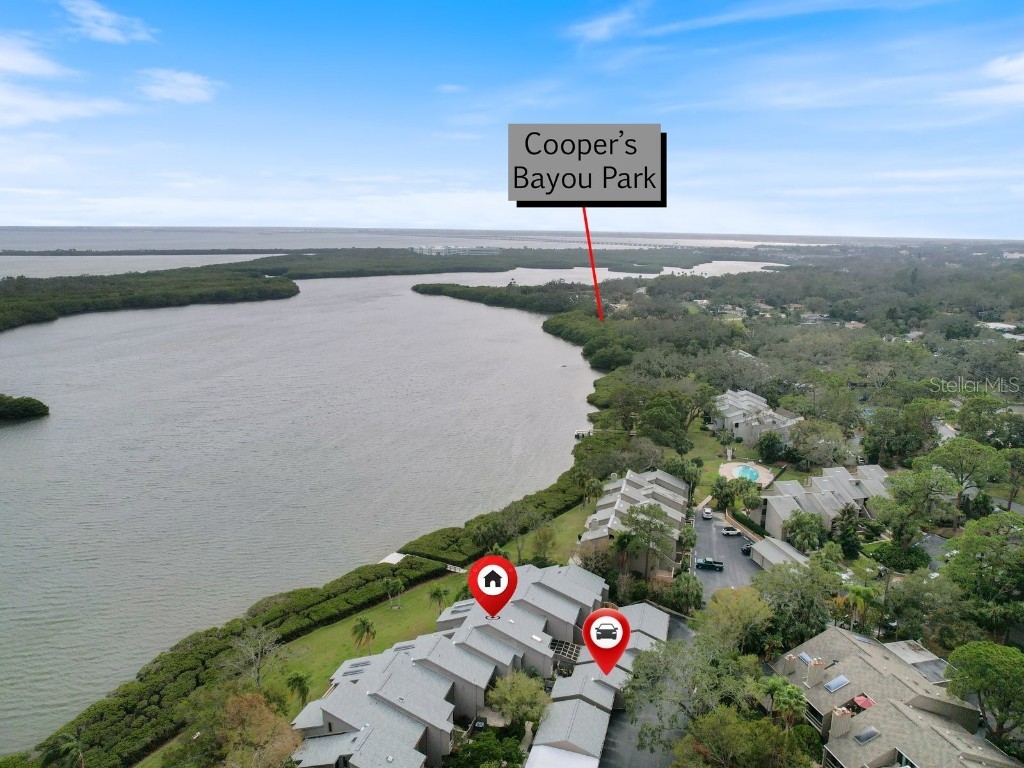 1111 N Bayshore Boulevard #F6 Clearwater FL 33759 TB8426333 image49