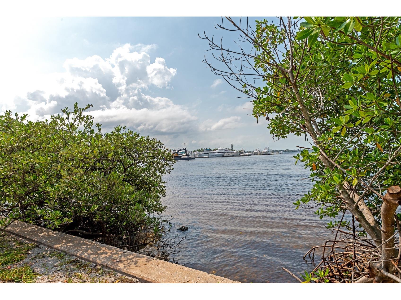 1111 N Gulfstream Ave #1a Avenue #1A Sarasota FL 34236 A4695479 image6