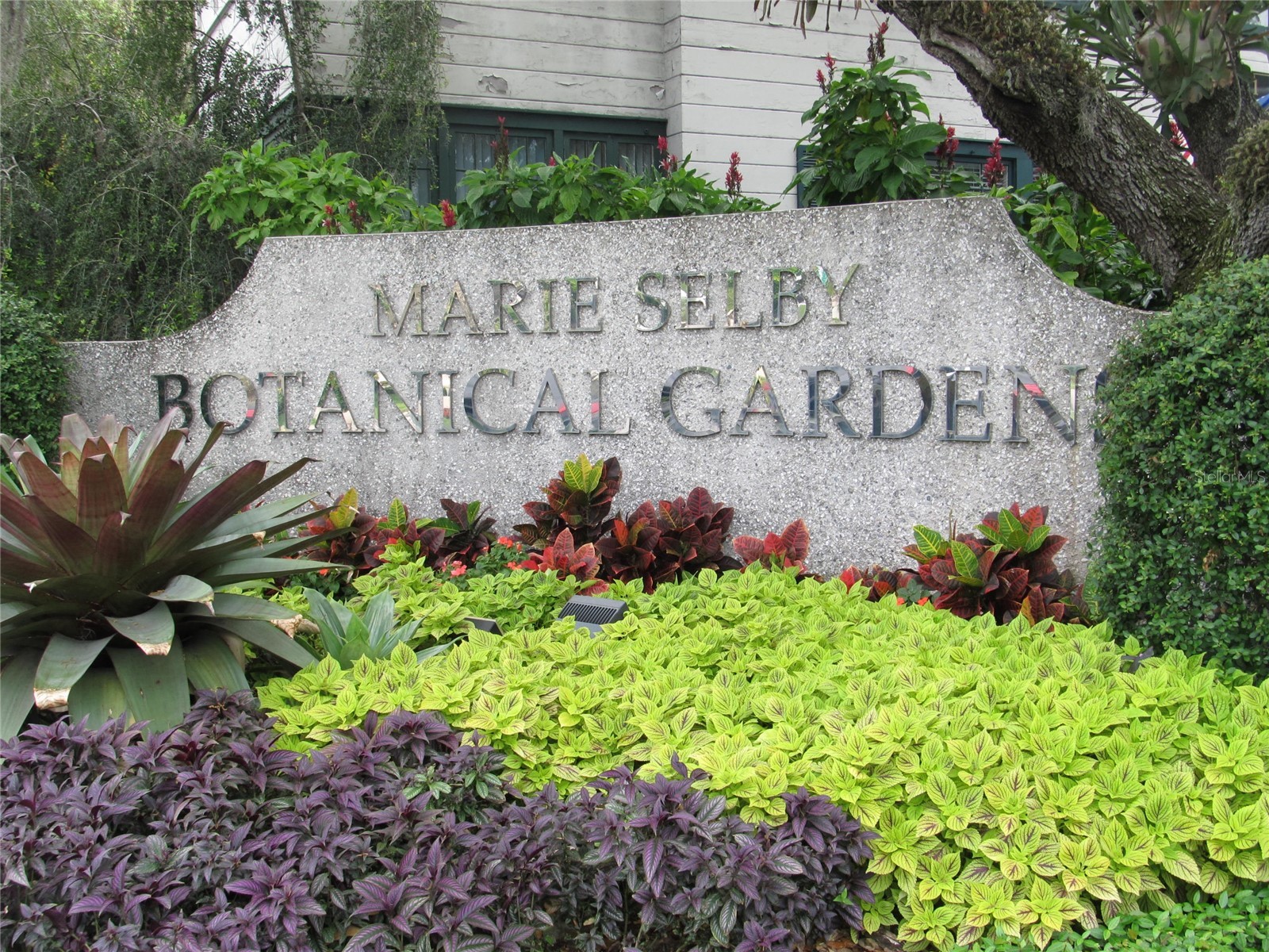 1111 N Gulfstream Avenue #7C Sarasota FL 34236 - SARASOTA BAY A4692338 image98