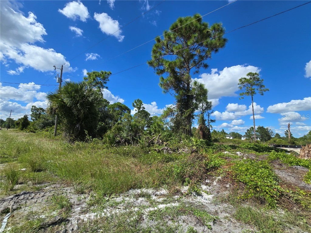 1111 Nimitz Boulevard Lehigh Acres FL 33974 O6354561 image6