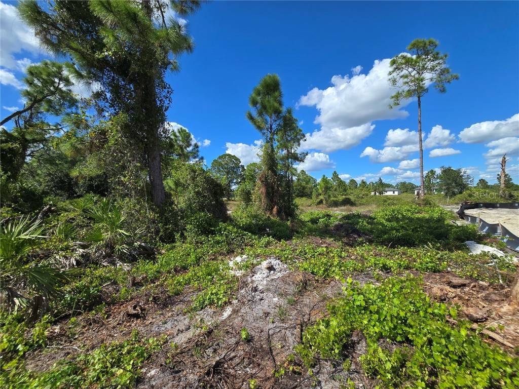 1111 Nimitz Boulevard Lehigh Acres FL 33974 O6354561 image7