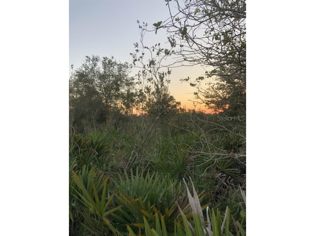 1111 Portulaca Drive Indian Lake Estates FL 33855 A4635201 image1