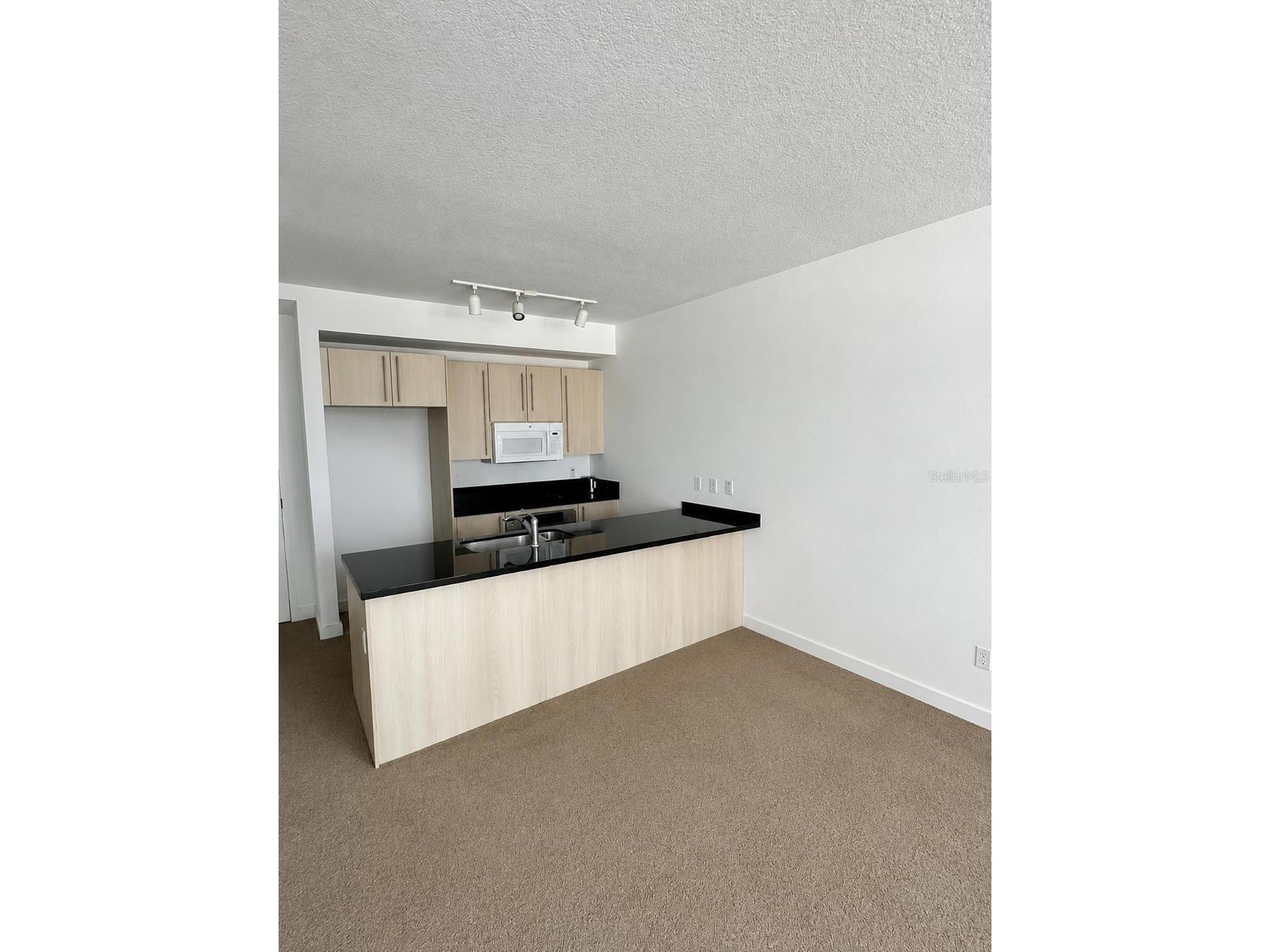 1111 SW 1st Avenue #1924 Miami FL 33130 O6412819 image2