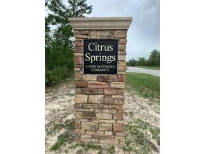 1111 W Cairo Drive Citrus Springs FL 34434 OM721271 image5