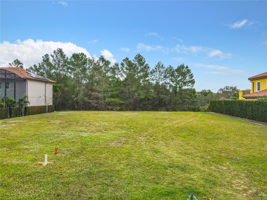 1111 Watson Court Kissimmee FL 34747 O6165660 image5