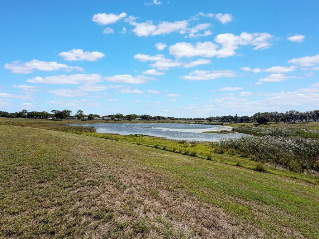 11110 Carriage Hill Dr #1 Port Richey FL 34668 W7880706 image29