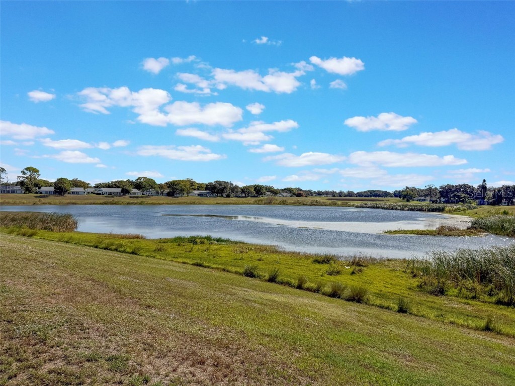 11110 Carriage Hill Dr #1 Port Richey FL 34668 W7880706 image30